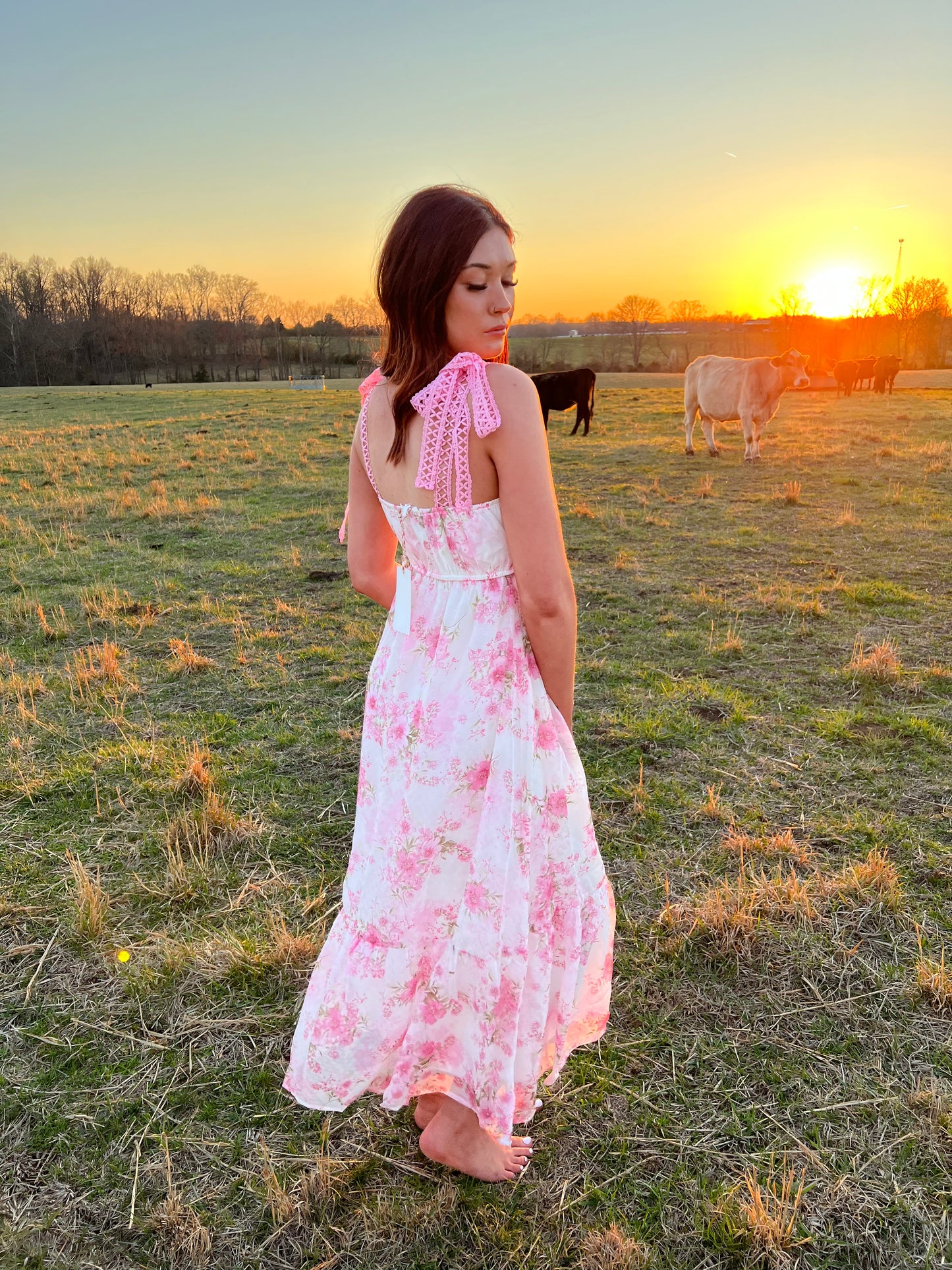 The Lily in pink