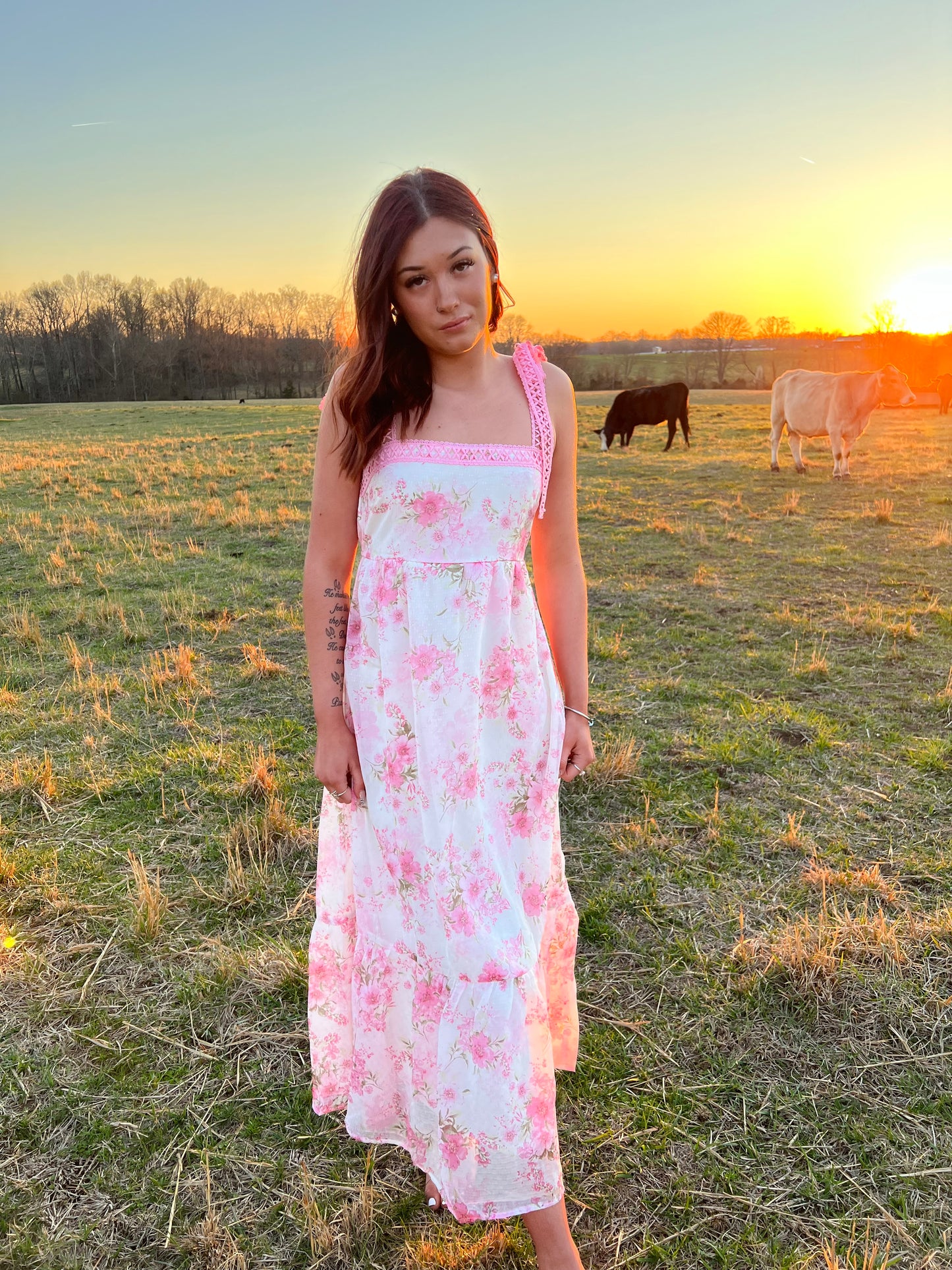 The Lily in pink